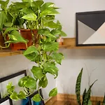 UNU 1211 Flat Santa Cecília