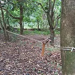 Chalé Espelho Dagua Brotas