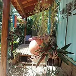 Casa Container Na Mata Atlantica