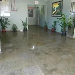 Hotel Bosque Da Saude