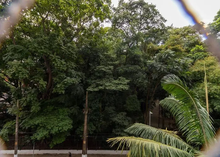 Lindo Studio, Recem Reformado