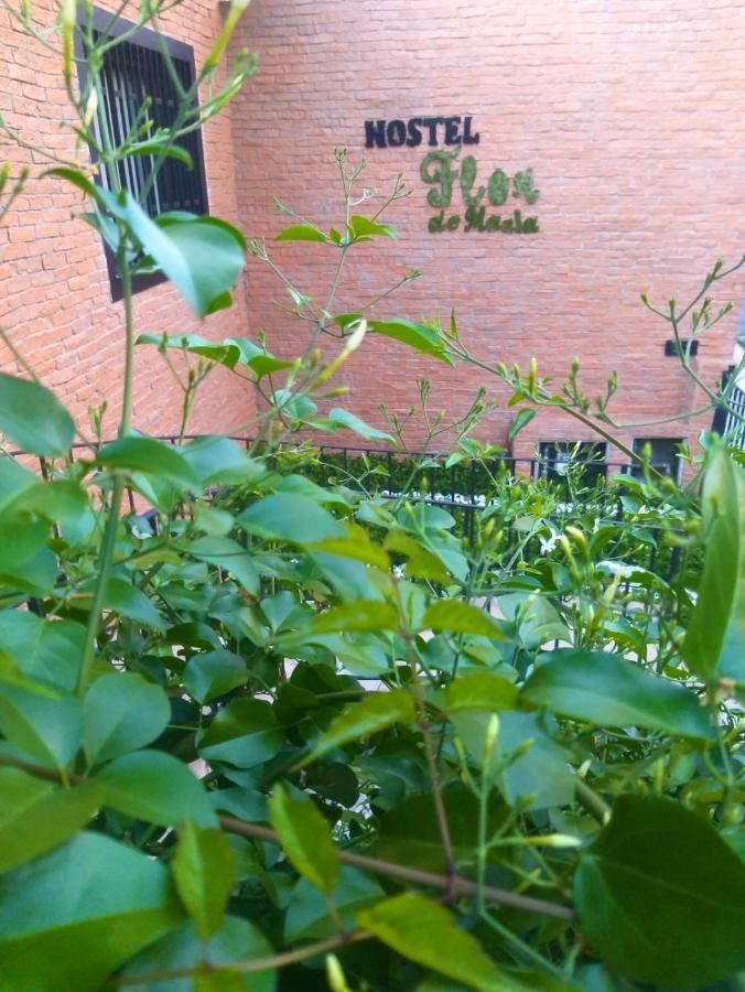 Flor De Maria * Sao Paulo