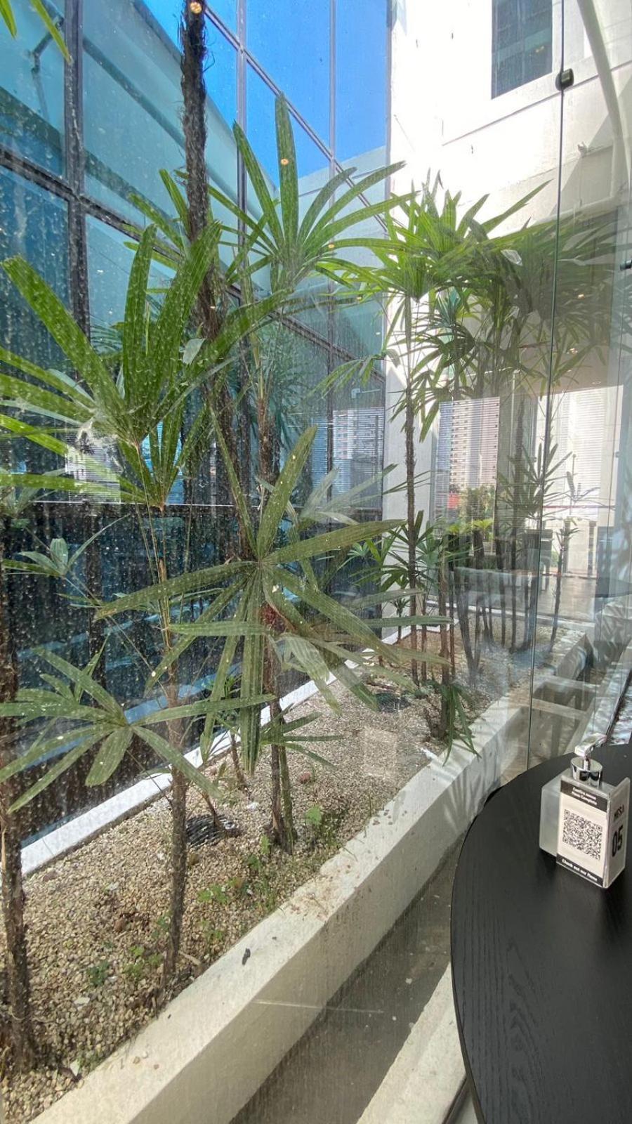 Apartamento Living Av Ibirapuera São Paulo