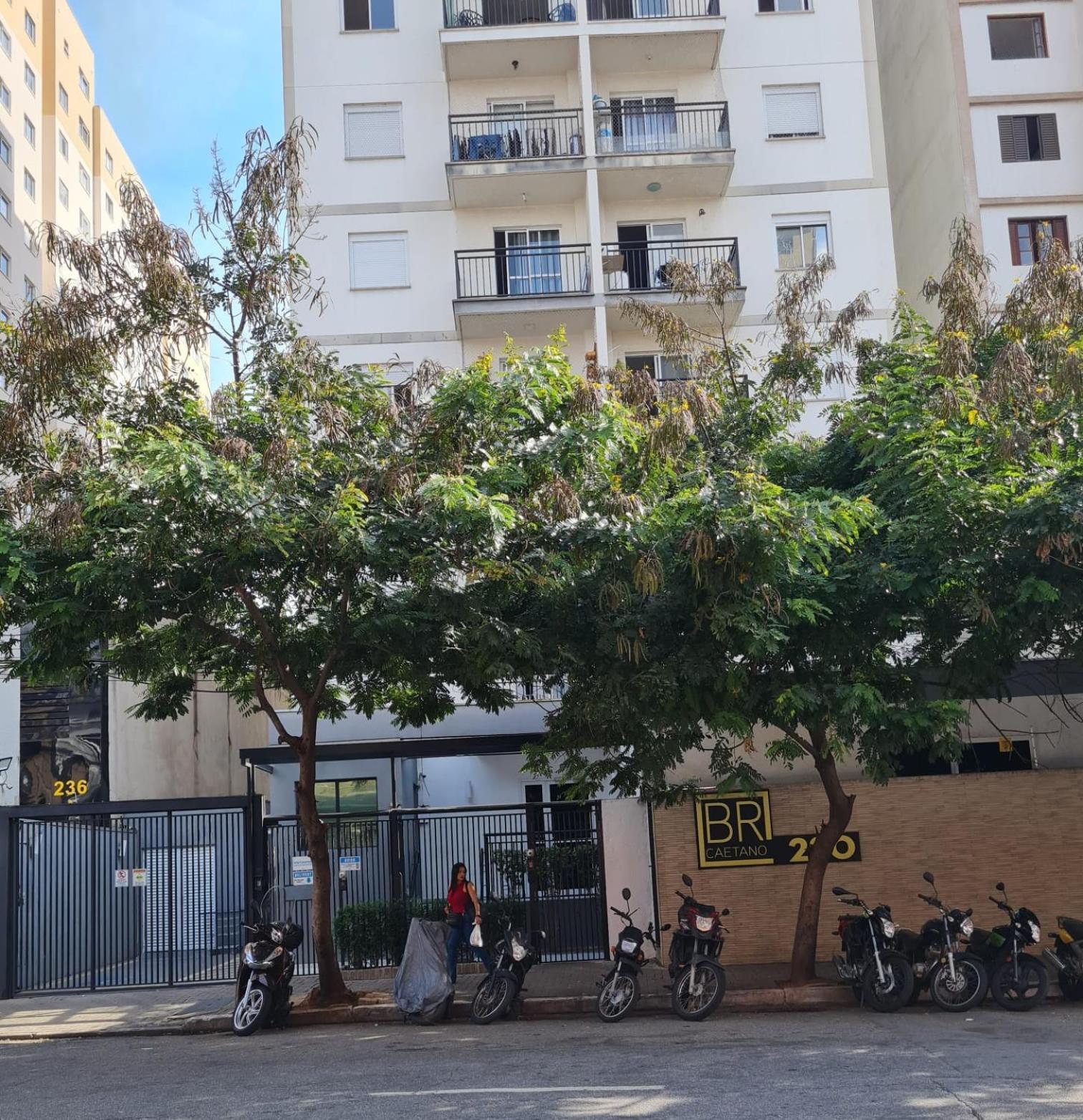 Apartamento Aconchegante Bras São Paulo