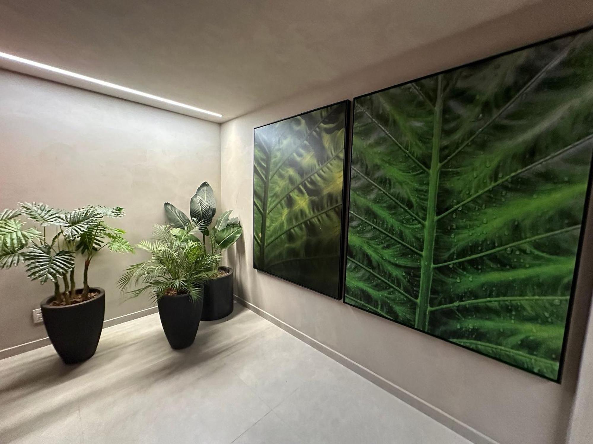 Novo Ap Aconchegante No Jardins Apartamento