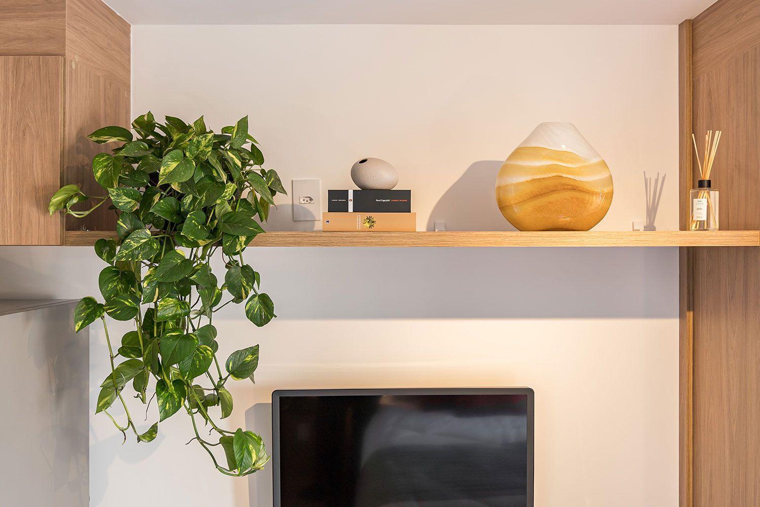 Aconchegante I Proximo Allianz Apartamento *