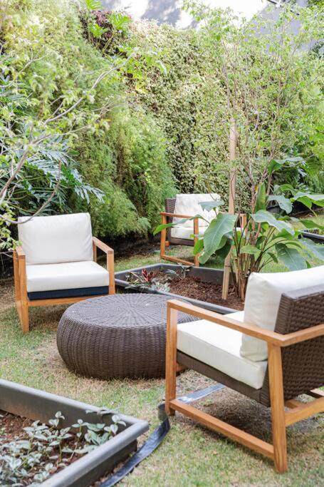 50m2 Lindo C Vista - Doru Nova * São Paulo