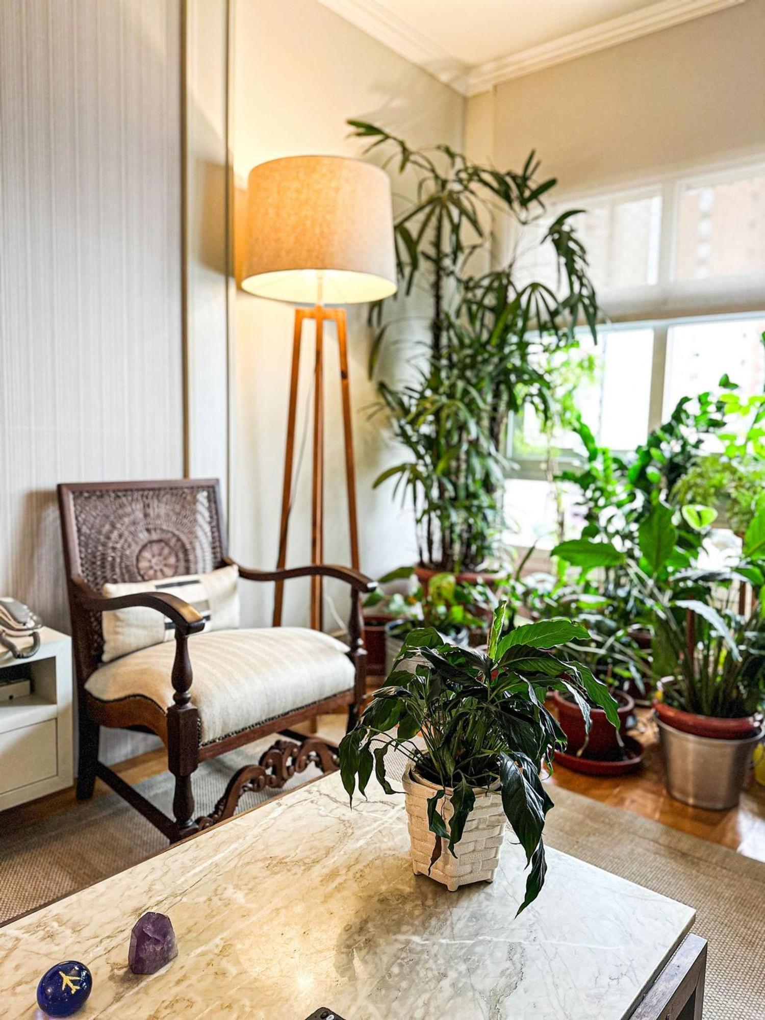 Apartamento Tranquilidade Na Nova Conceicao *