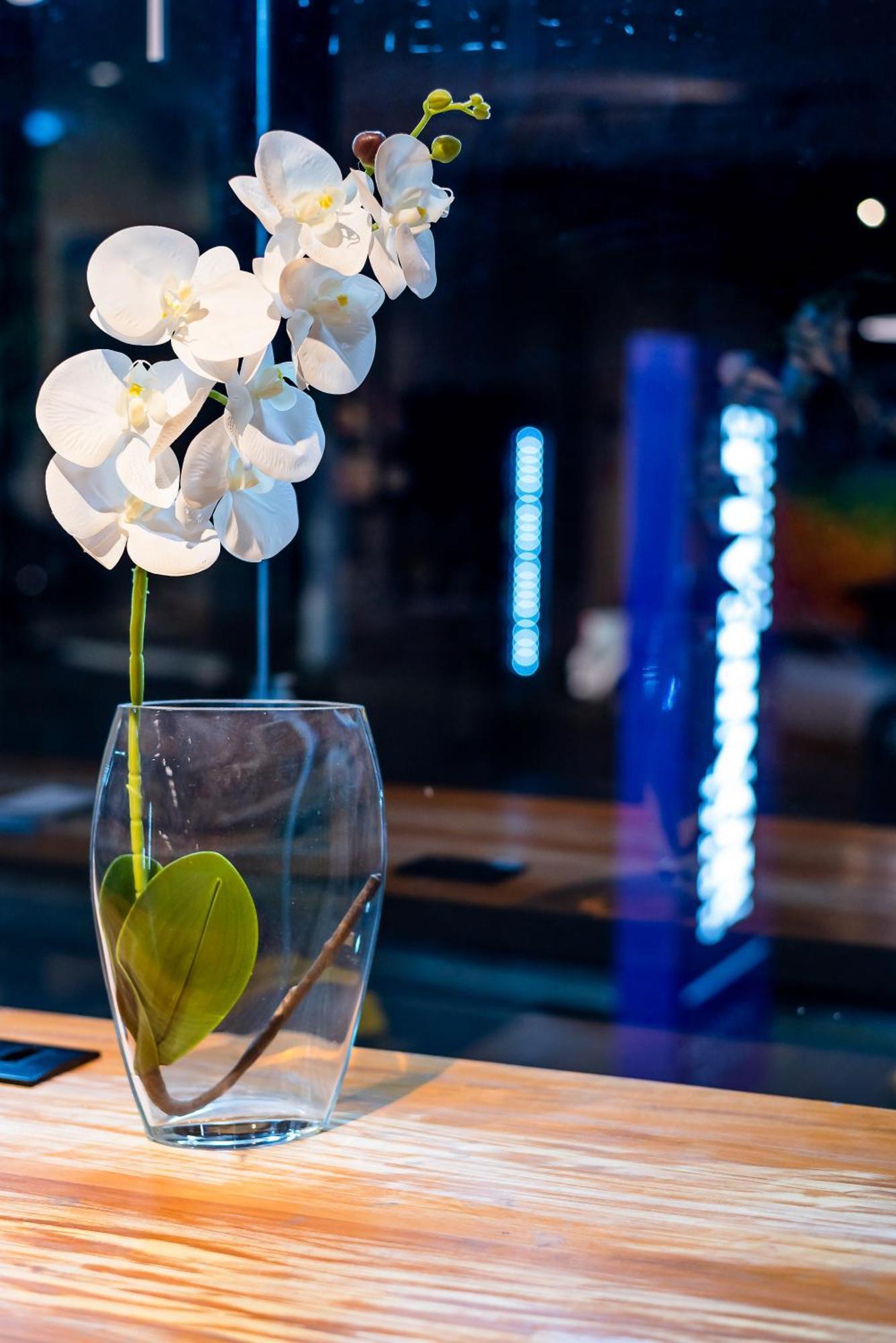Hotel Monreale Lifestyle Higienopolis São Paulo
