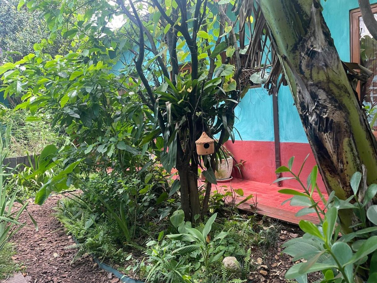 Casa Espacosa, Jardim Enorme, Refugio Natureza Sp São Paulo