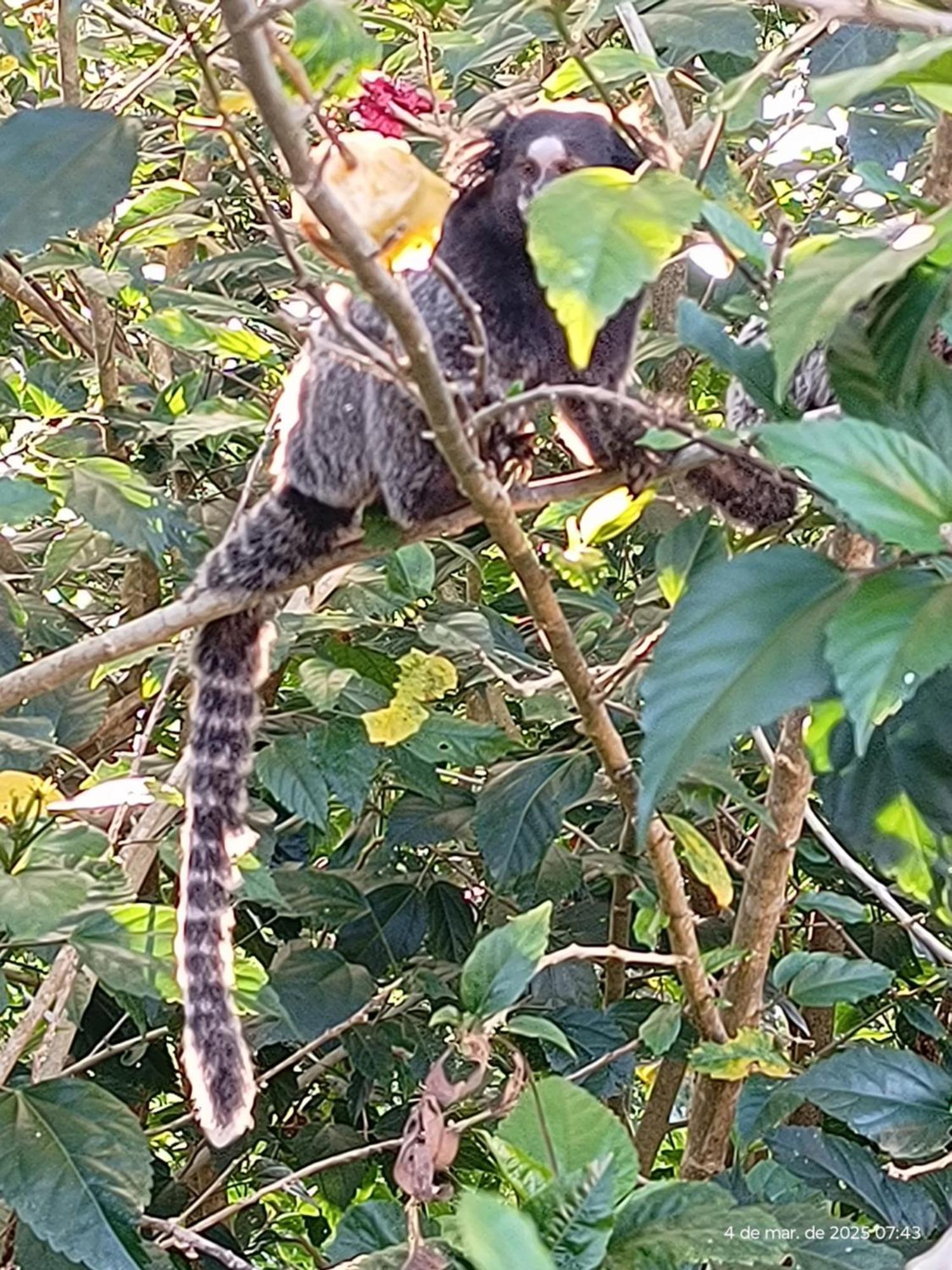 Casa De Retiro São Paulo