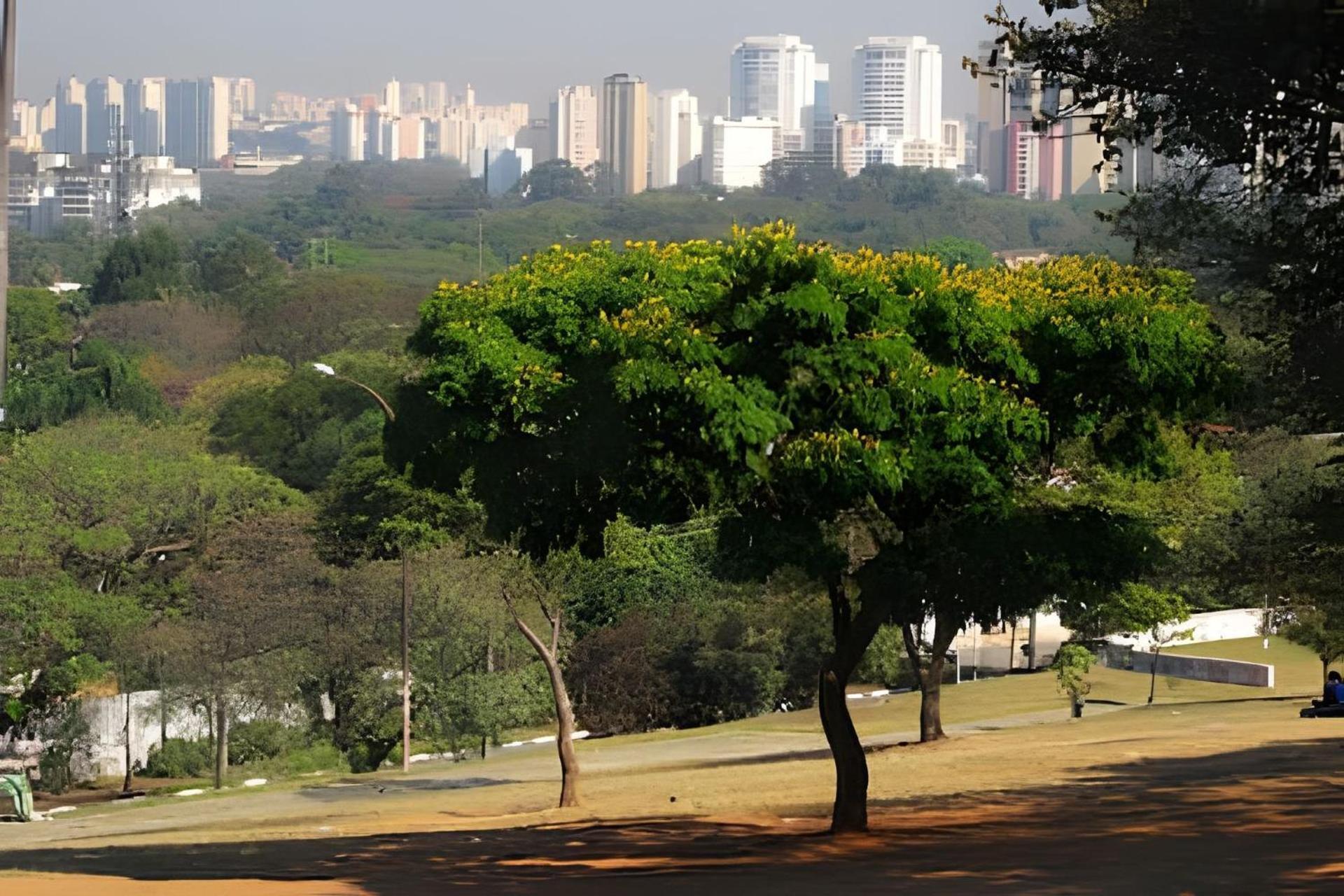 Apartamento Garden Panoramico Premium *