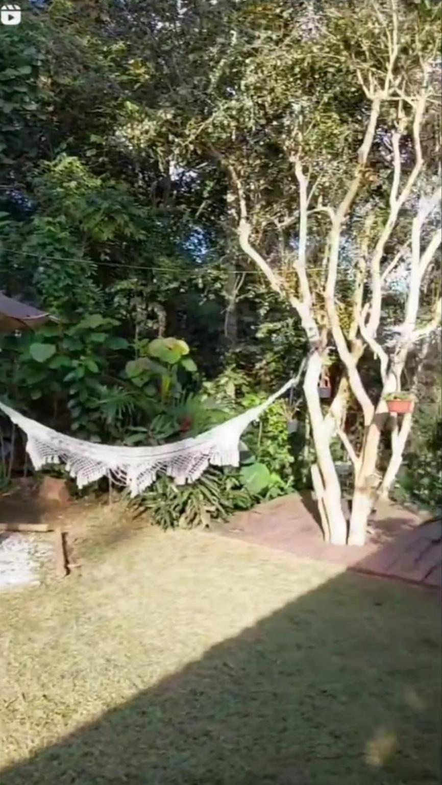 Casa Container Na Mata Atlantica