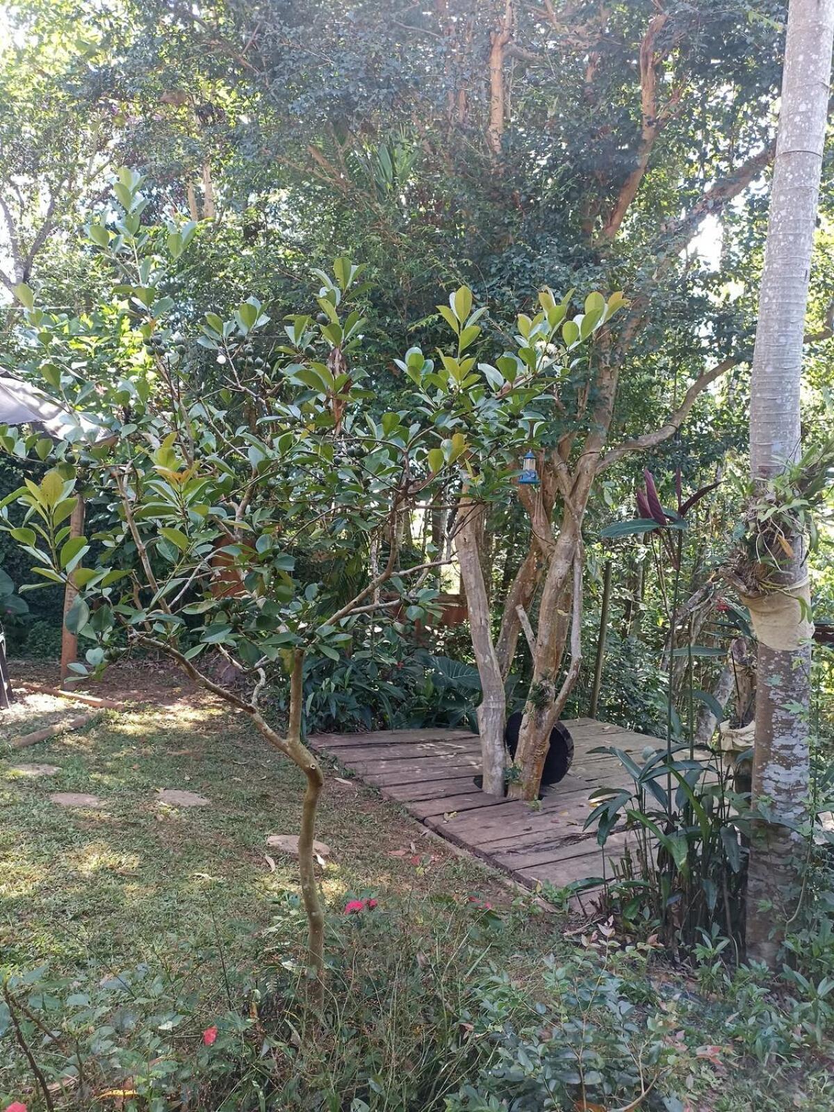 Casa de férias Casa Container Na Mata Atlantica São Paulo