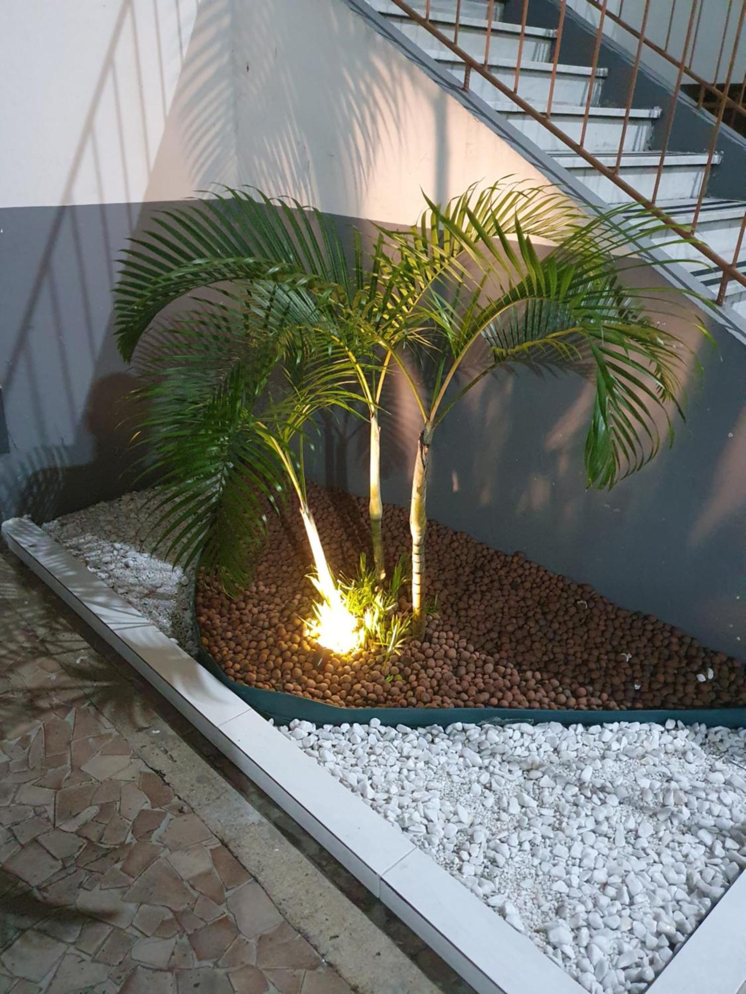 Kitnet Brasil Apartment *