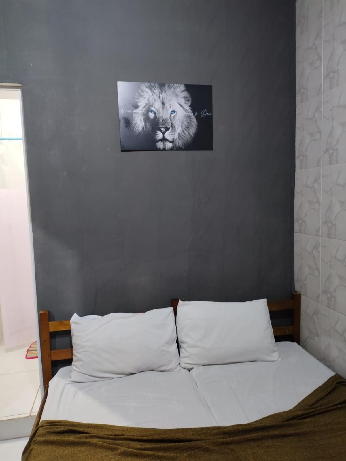 Aprisco Brasil Hostel
