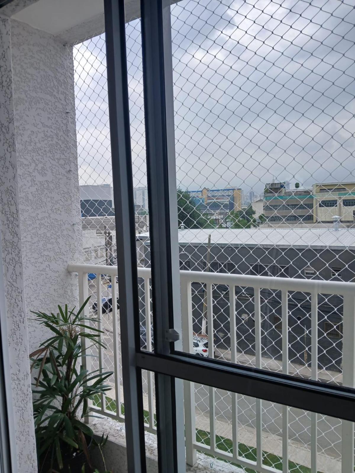 Tulipa Azul - Aconchegante Em Sp Apartamento