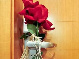 Mercure Stella Vega 3*