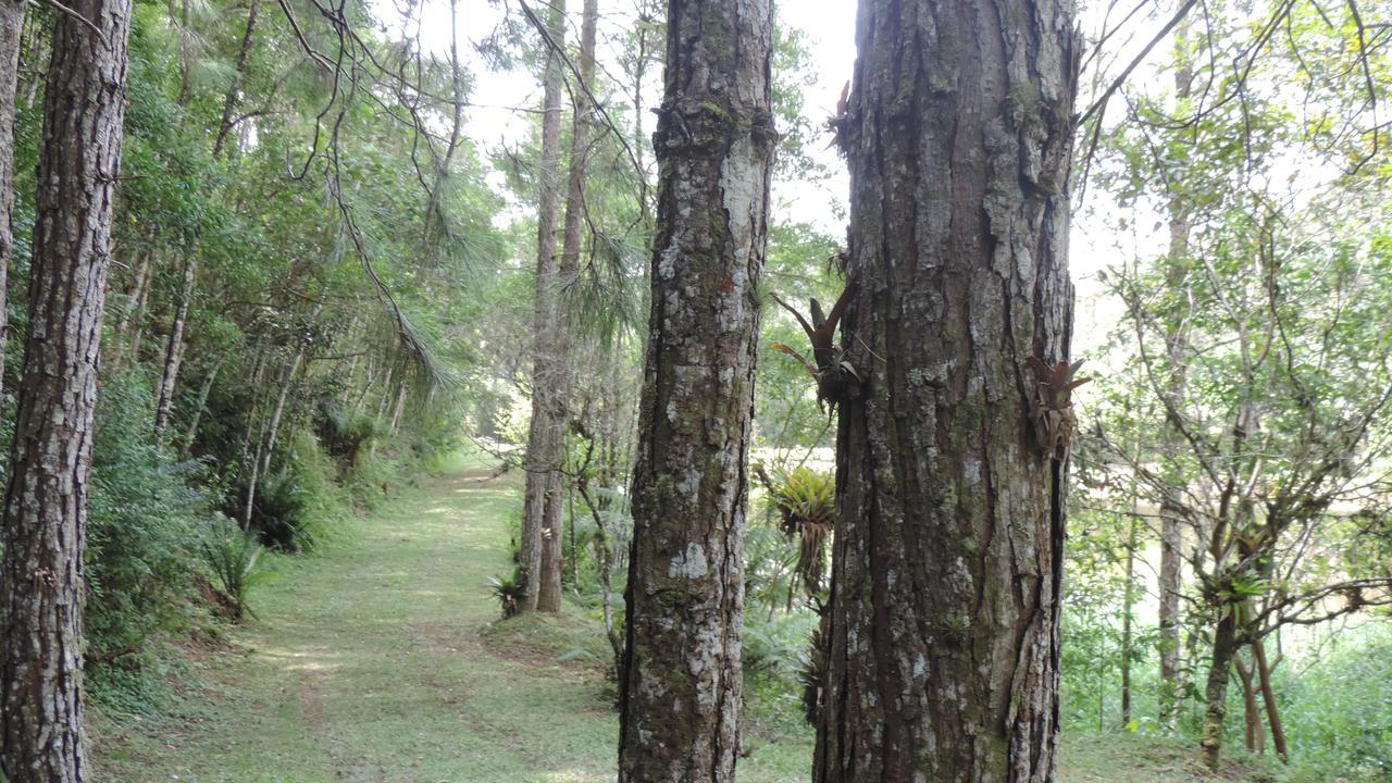 Camping Vale Das Trilhas * São Paulo