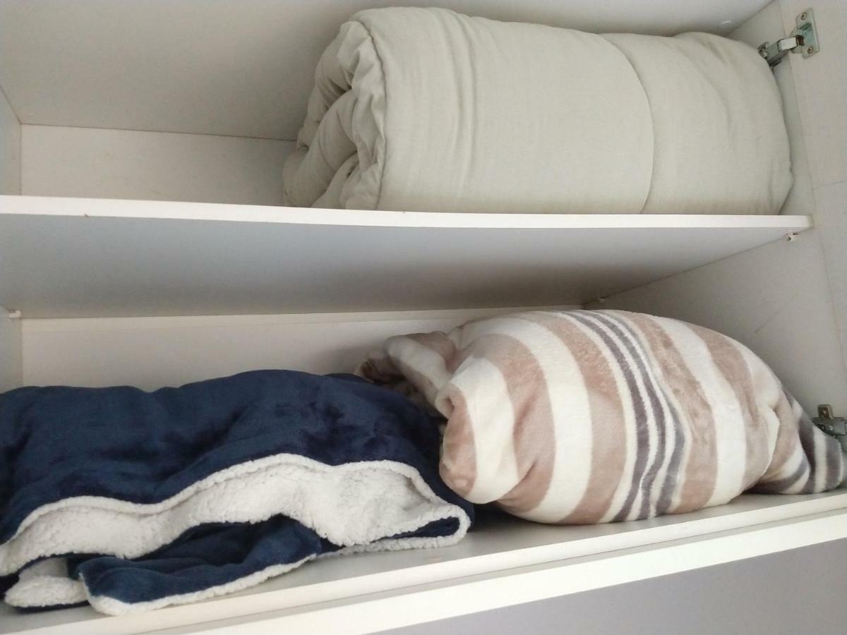 Apartamento Central Studium *