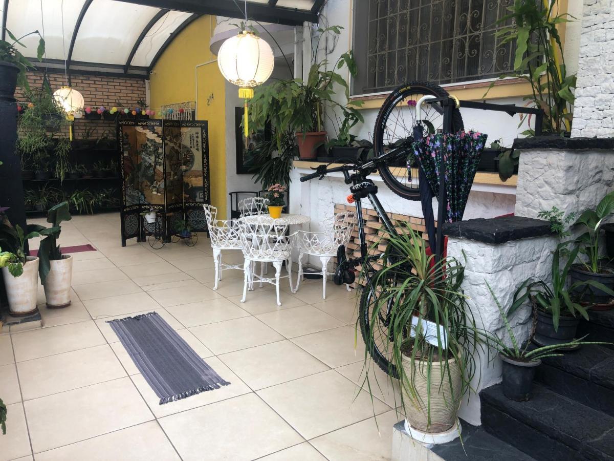 Ipe Albergue São Paulo