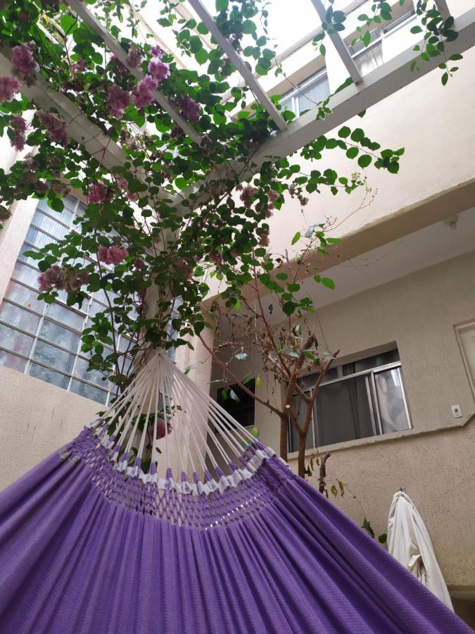 Ipe * São Paulo