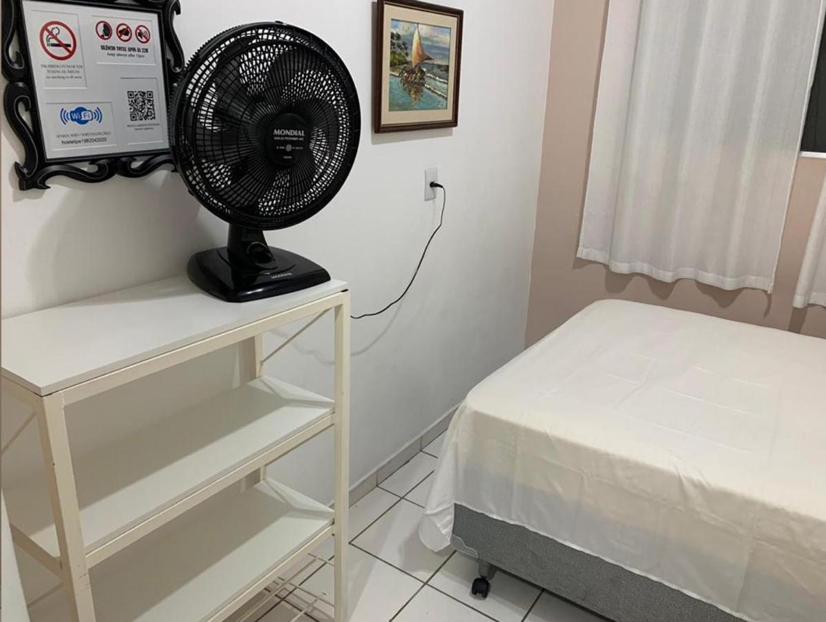 Ipe Albergue São Paulo