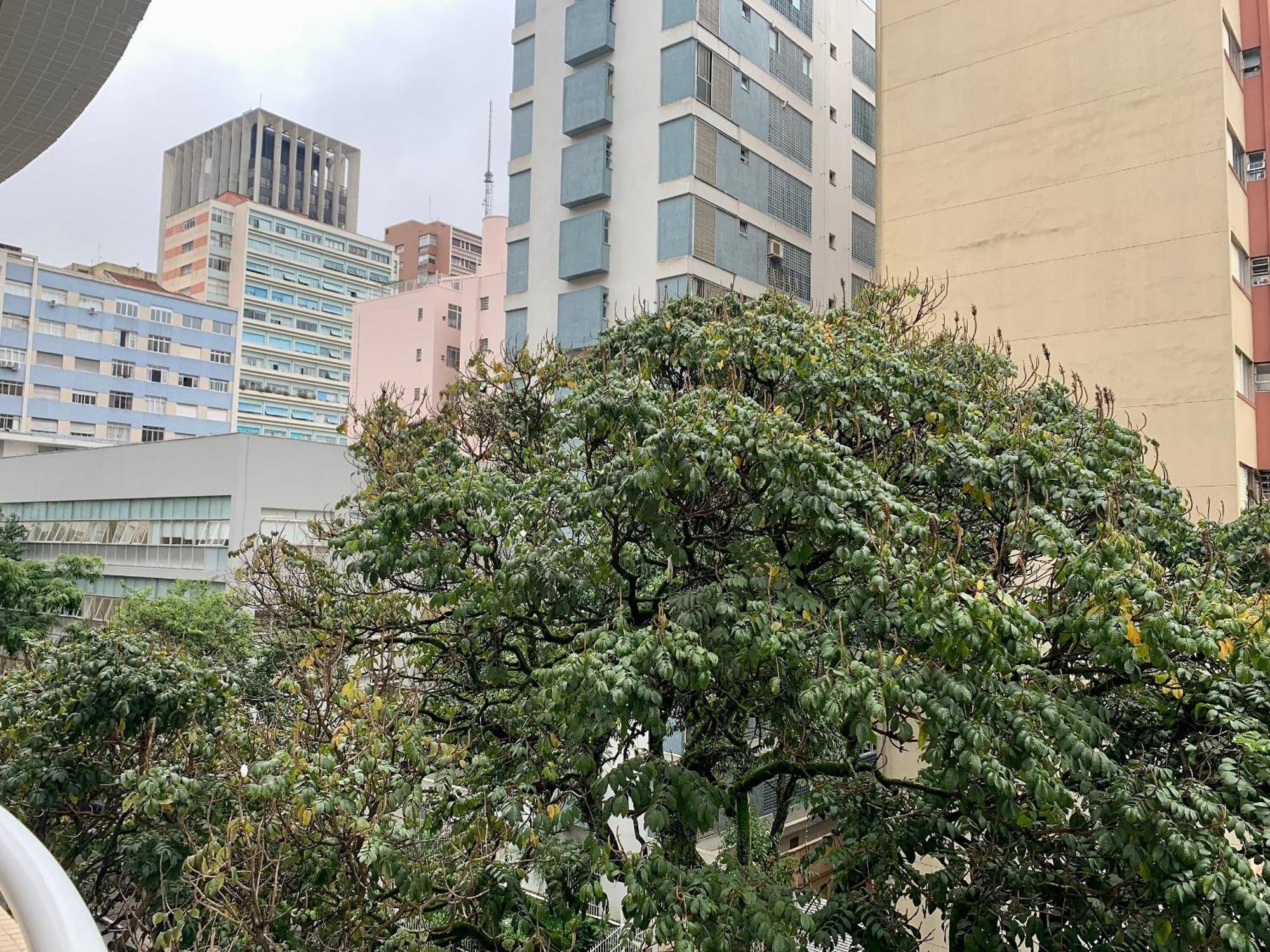 Ap 41 Paulista 2 Dorm C/ Garagem Apartamento
