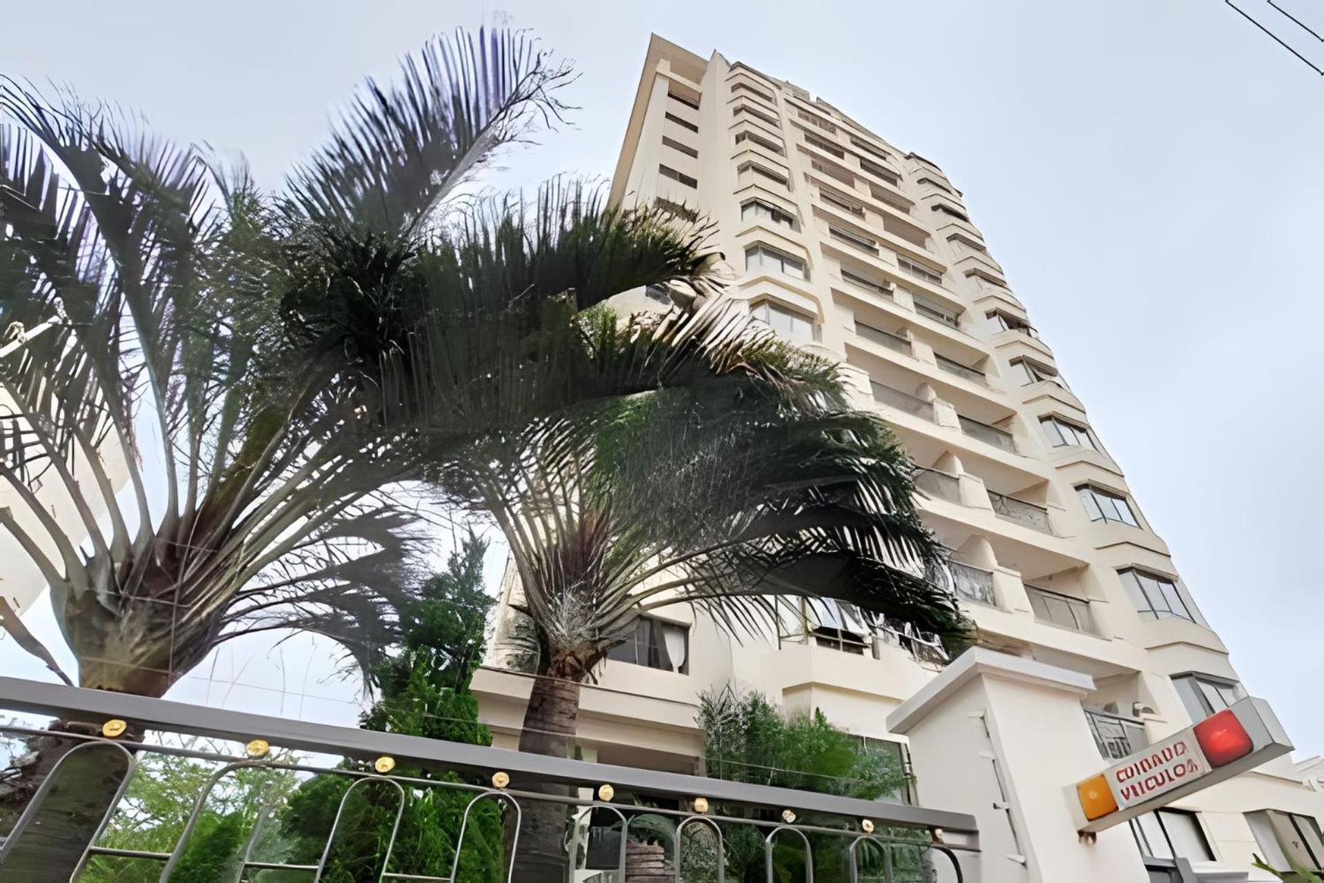Apartment Flat Com Dois Quartos Em Moema Sao Paulo