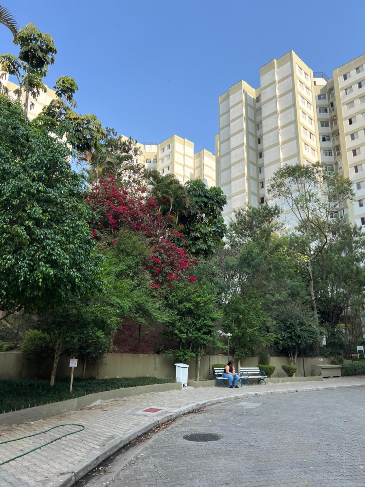 Apartamento Solimoes, Autodromo, Ibc, Pq Monica ,aeroporto Congonhas, Expo Transamerica São Paulo