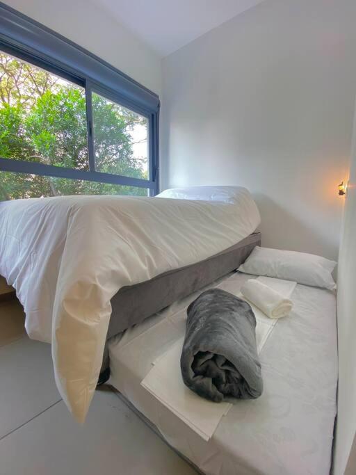 Apartment Aeroporto,metro,consulado-studio Arborizado Novo