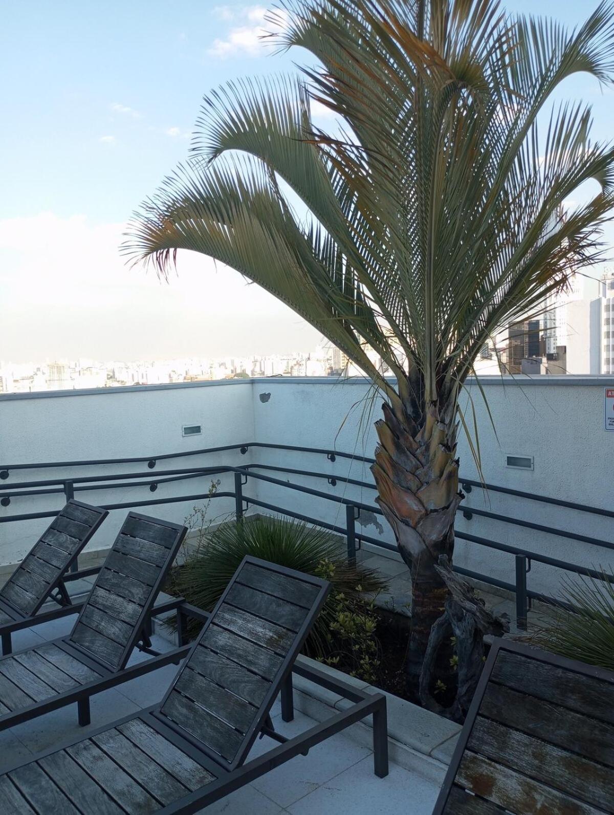 98 Centro Sp Com Garagem, 25 De Marco, Bras * São Paulo
