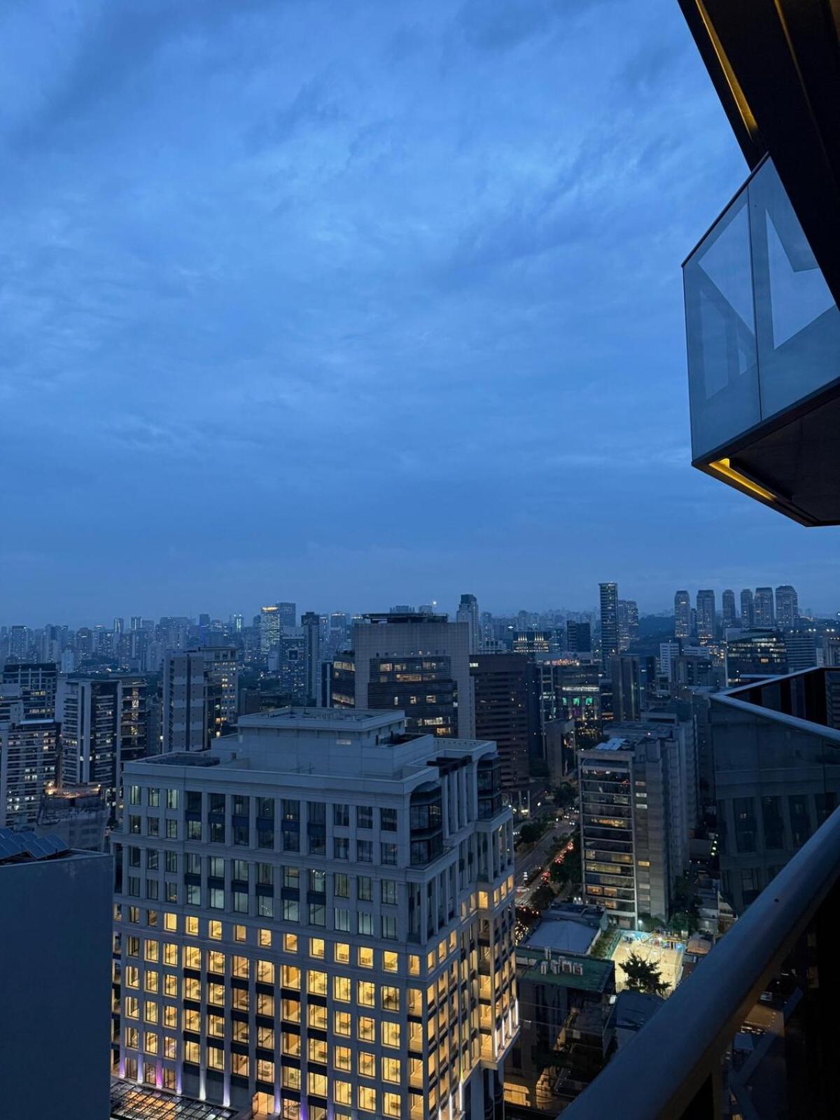 Cozy With A Privileged View Sao Paulo