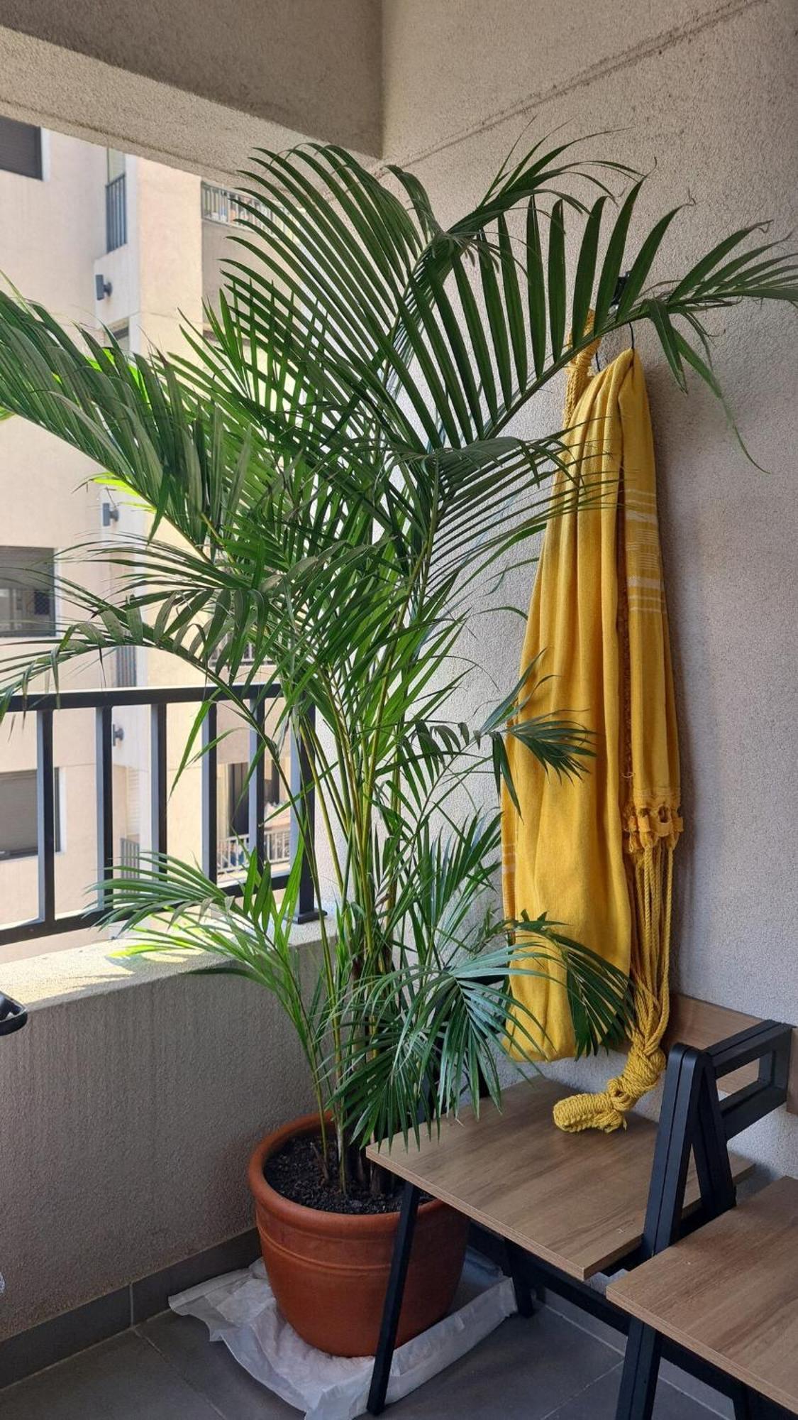 Apartamento Ap Em Frente A Estacao Bras