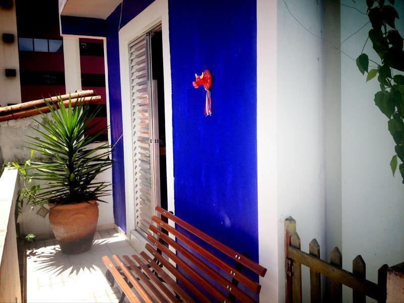 Girassol Madalena São Paulo