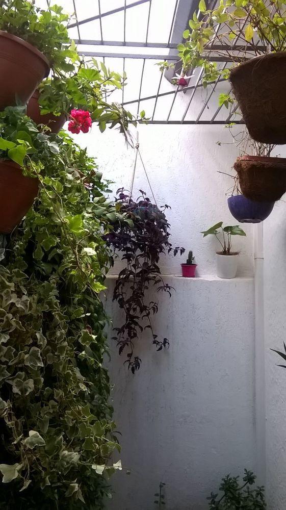Albergue Flor De Maria