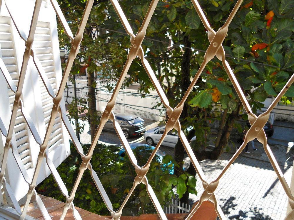 3dogs Sao Paulo