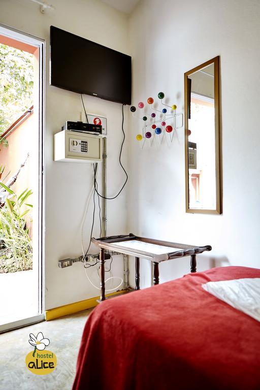 Albergue Alice E Padoca Vegan *