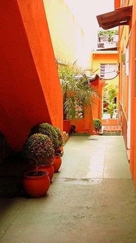 E Economica - Bairro Pinheiros, Proximo Hospital Clinicas E Incor, Oscar Freire, Av Paulista, Allianz, Madalena E Facil Acesso Ao Ibirapuera E Morumbi Albergue *