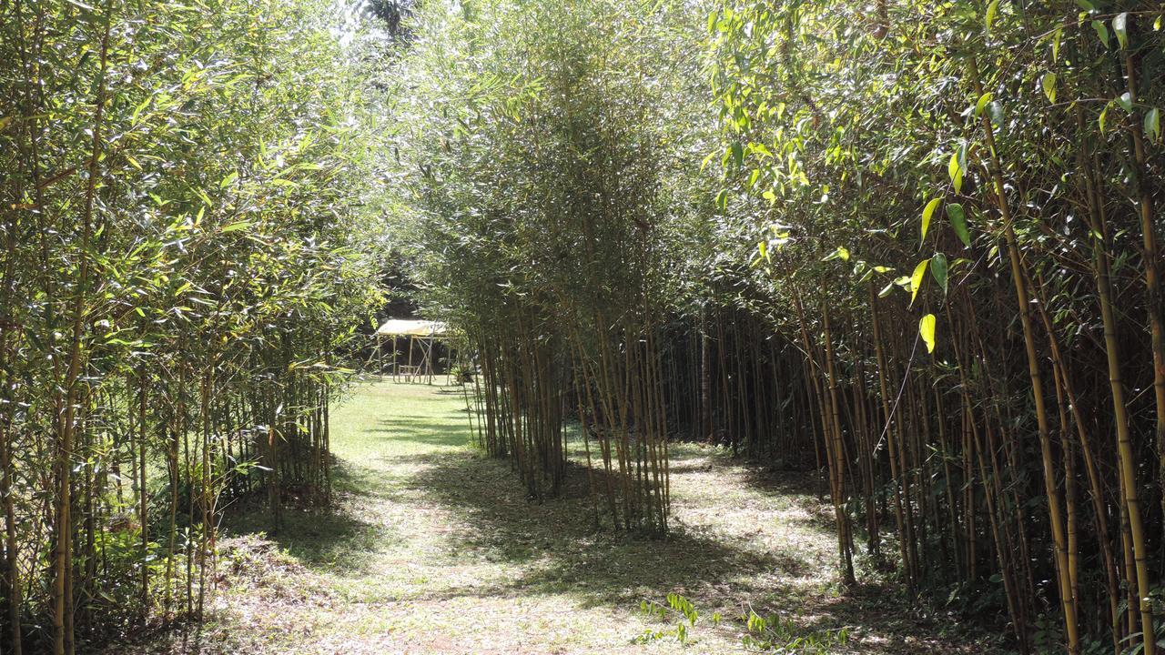 Camping Vale Das Trilhas Campsite *