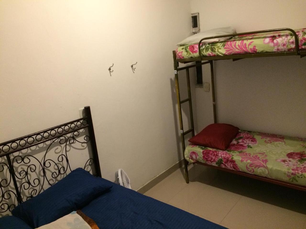 Girassol Madalena Albergue São Paulo