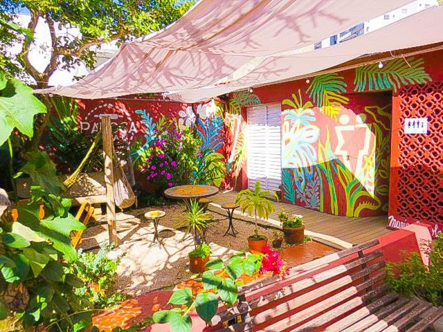 Alice E Padoca Vegan Albergue *