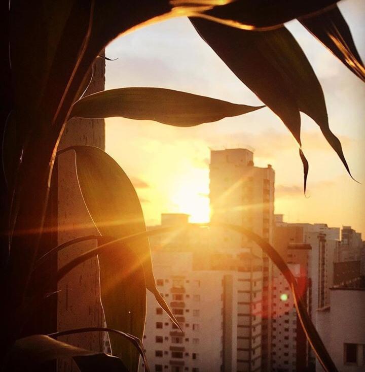 Loft Confortavel E Moderno Sao Paulo