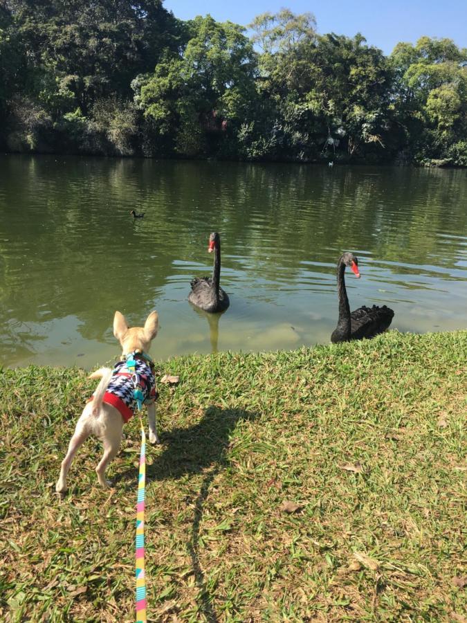 Ibirapuera Royal Park Apartment
