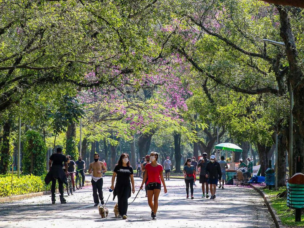 Quarto São Paulo Pensão *