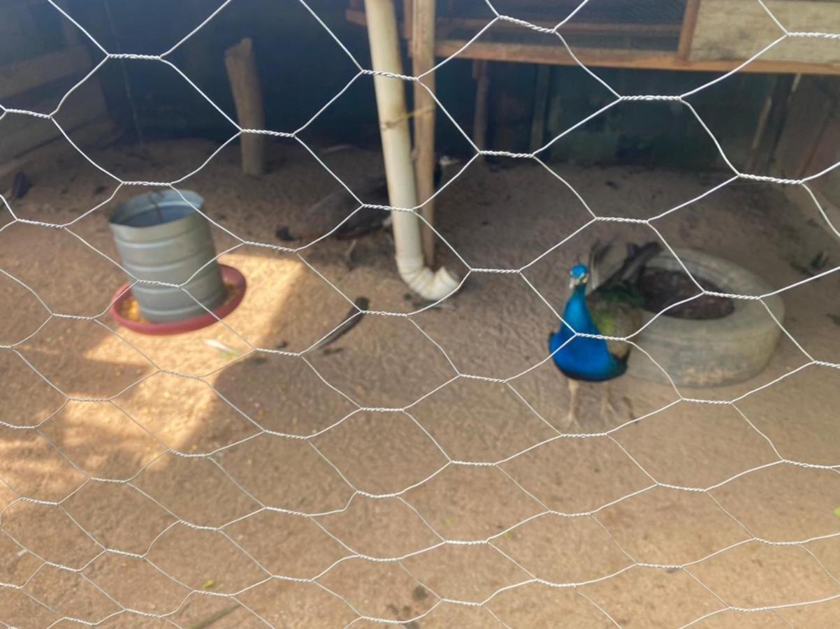 Recanto Da Paz Chacara Casa de férias