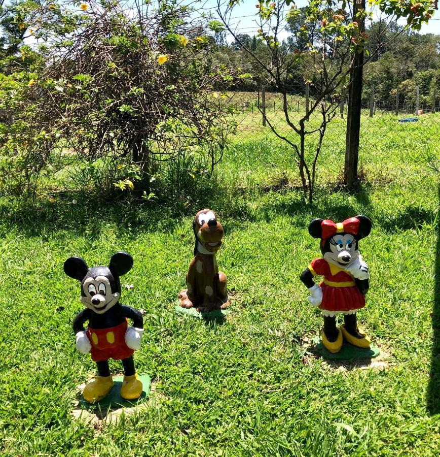 Paz e Alegria no Recanto do Vô Loco Casa de férias São Paulo