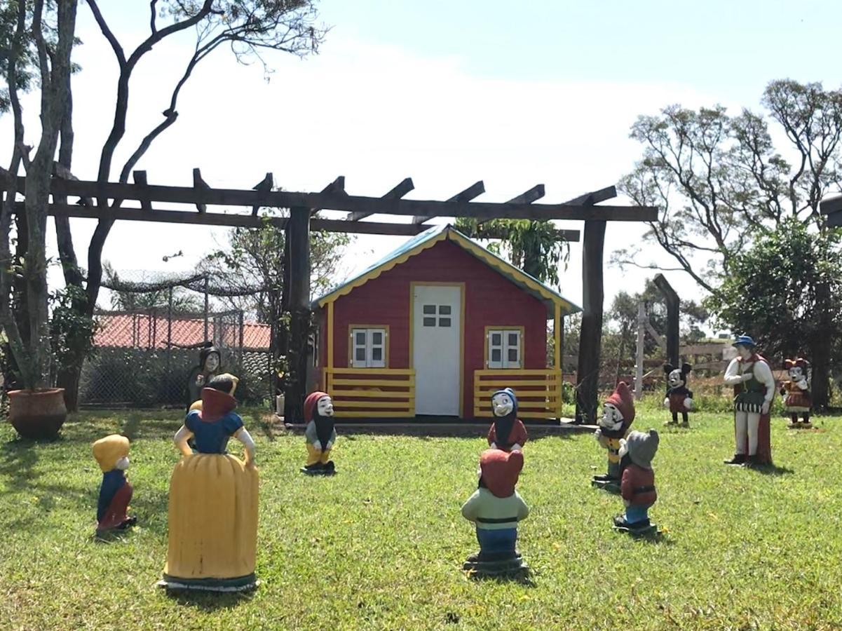 Paz e Alegria no Recanto do Vô Loco São Paulo