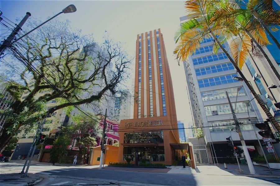 Gale Paulista São Paulo