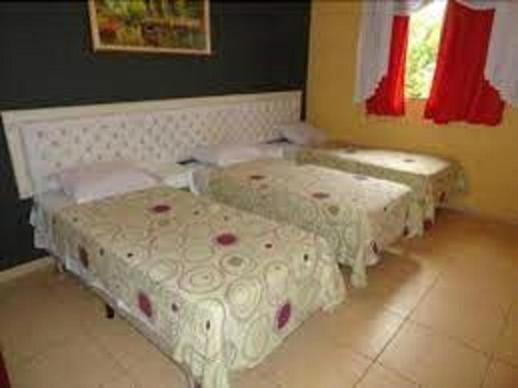 Hotel La Ville - Ipiranga Sao Paulo